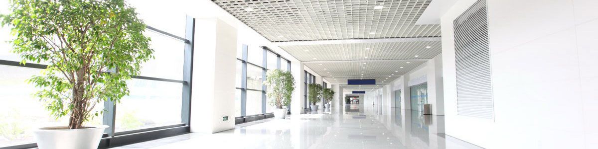 . INMOBILIARIA MAYOR en Castellon De La Plana